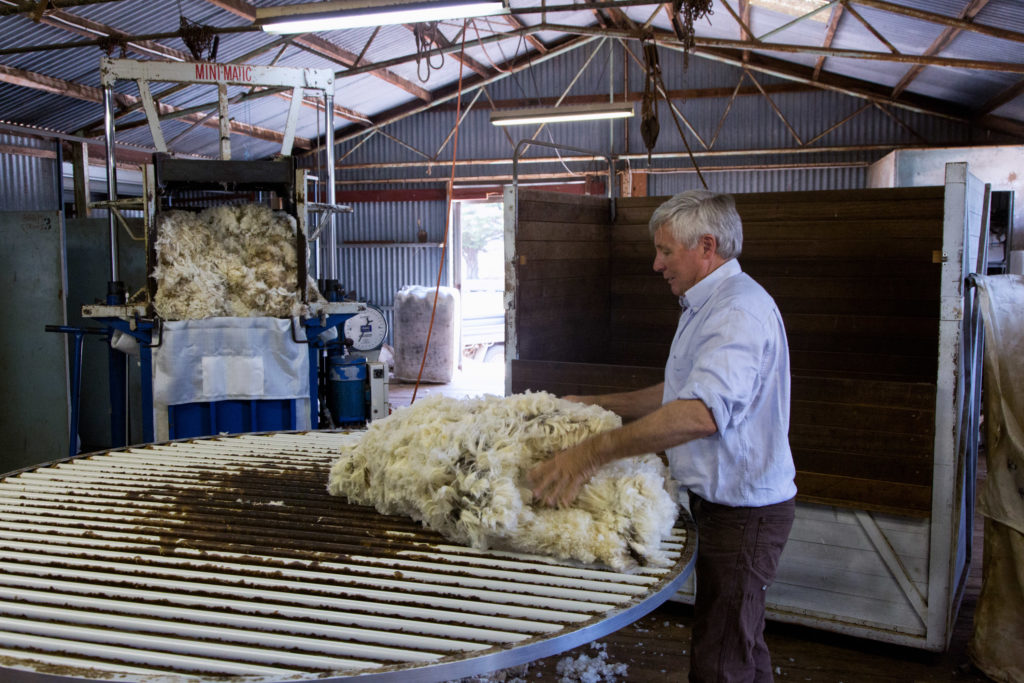 Schafe scheren in Australien - Zu Gast auf einer Schaffarm