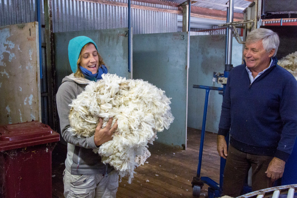 Schafe scheren in Australien - Ein Selbstversuch