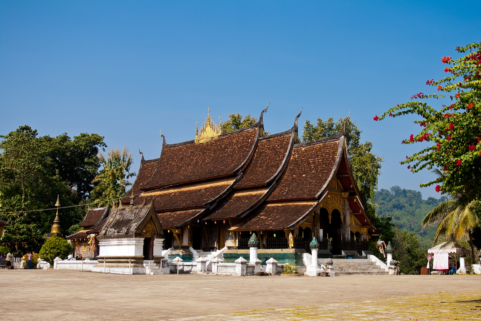 Tempel, Luang Prabang Hummeln im Arsch