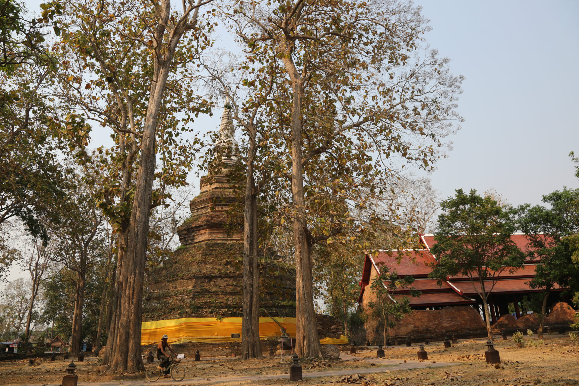 Himmelhoch jauchzend, zu Tode betrübt - Chiang Rai und das Goldene Dreieck