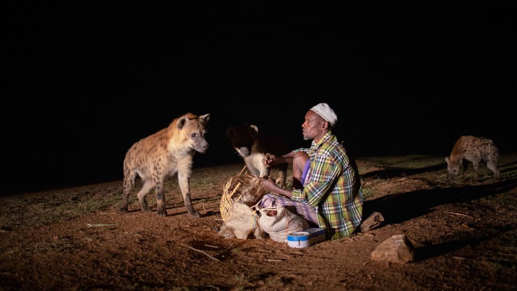 Äthiopien Reisetipps - Hyänenfütterung bei Nacht