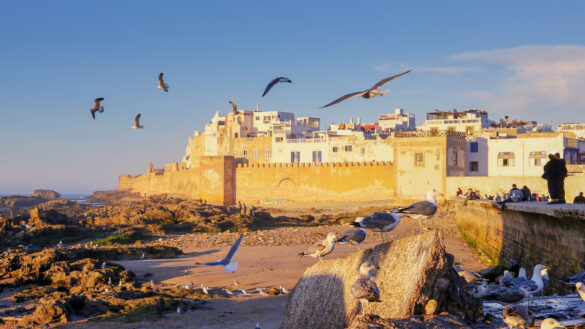 Blick auf die Medina und Stadtmauer von Essaouira, Marokko Reisetipps