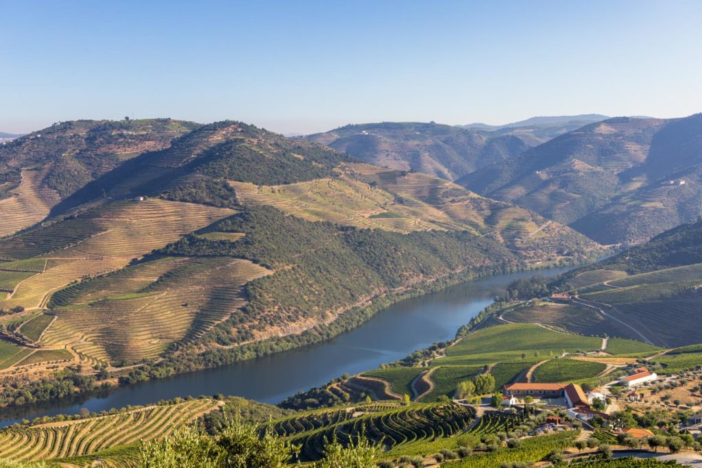 Blick auf den Rio Douro und die Weinberge im Douro-Tal