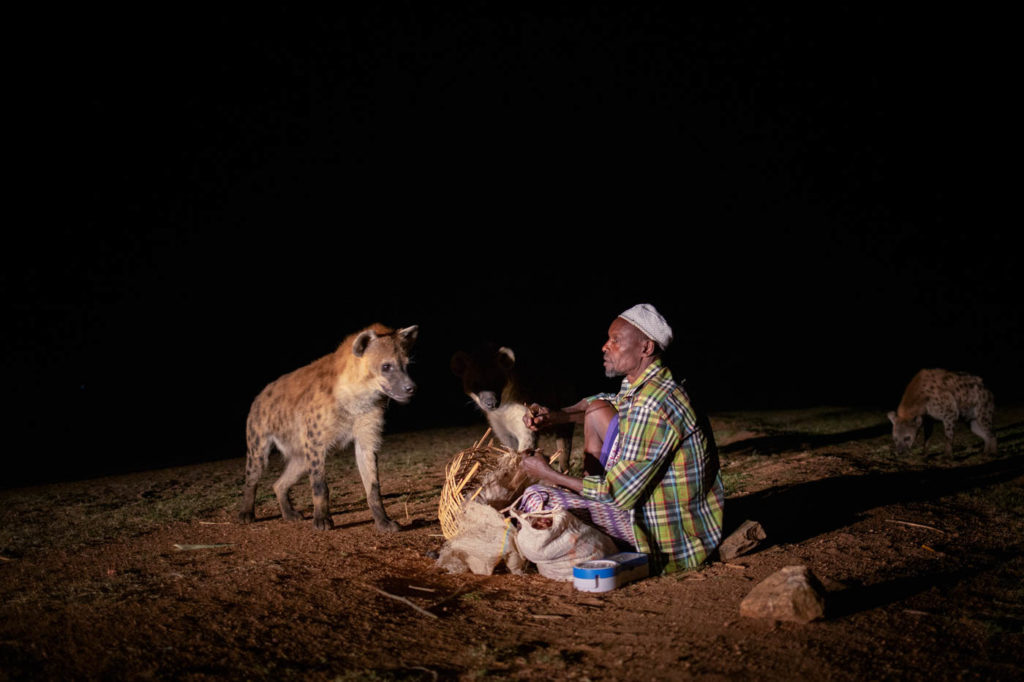 Hyänenfütterung in Harar - Äthiopien Reisebericht in Bildern
