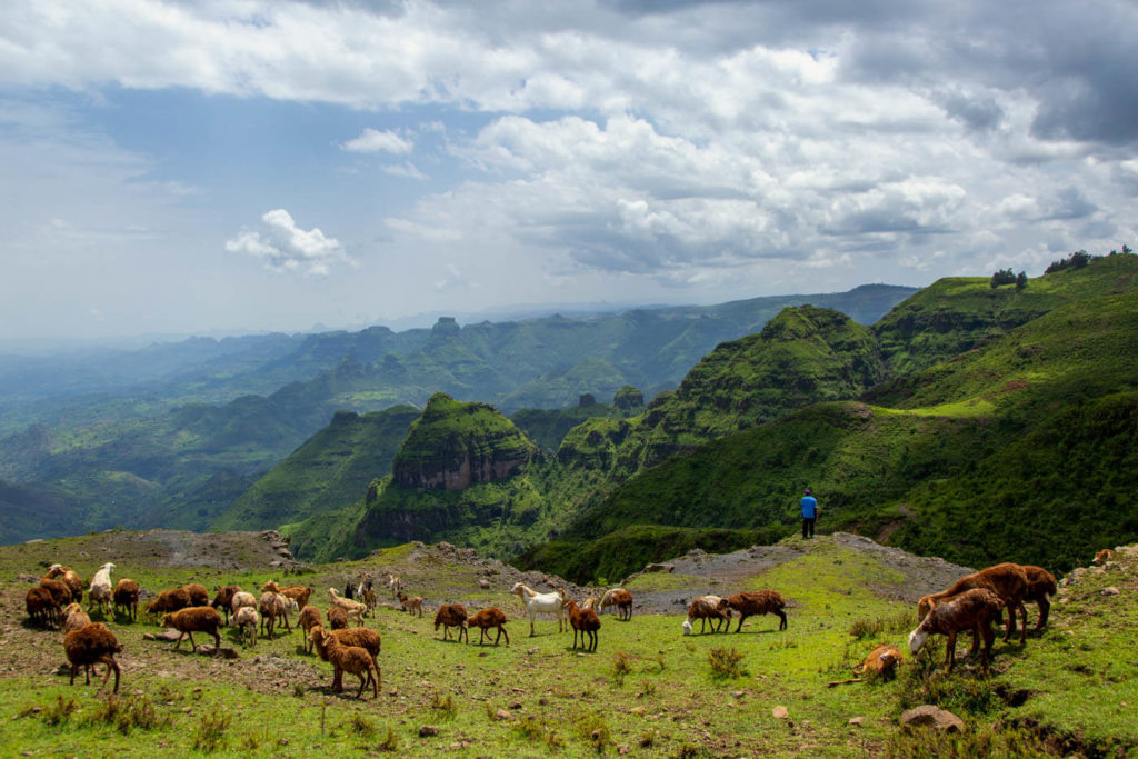 Simien Mountains - Äthiopien Reisebericht in Bildern
