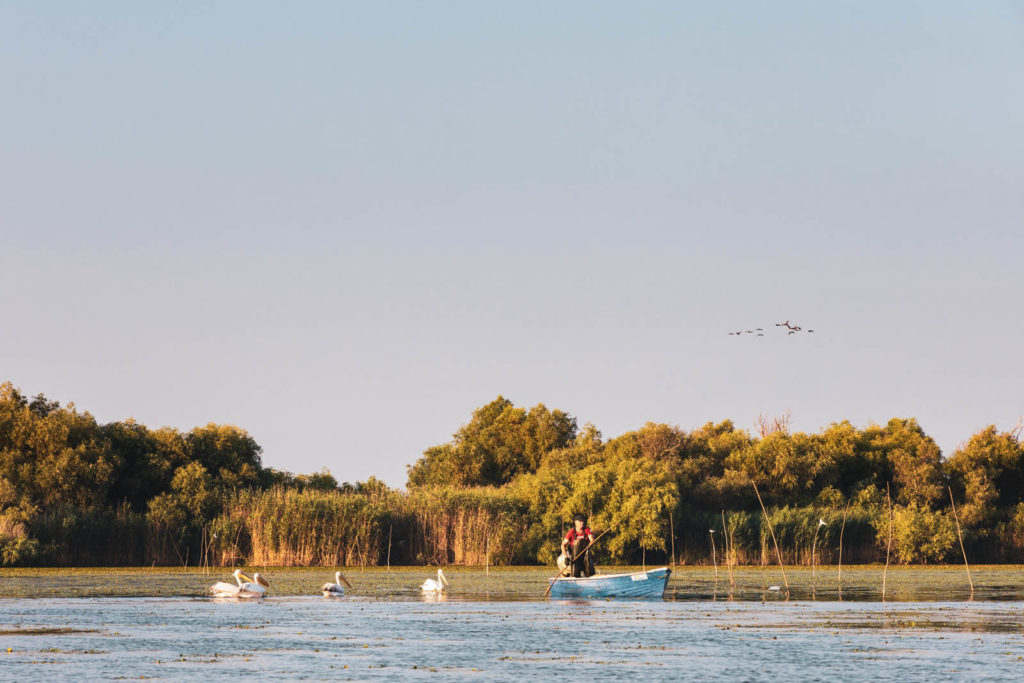 Pelikane und Fischerboot um Donaudelta - Rumänien Roadtrip mit dem Wohnmobil