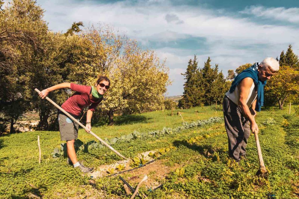Gartenarbeit beim Workaway auf Kreta