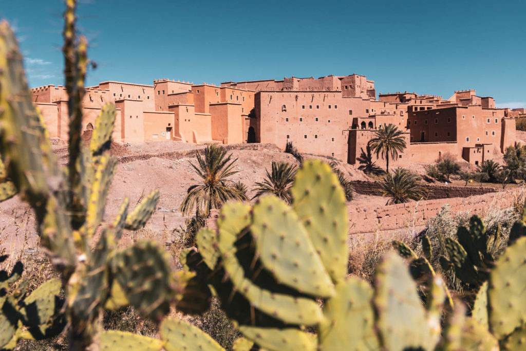 Kasbah Taourirt in Ouarzazate in Marokko vor Kakteen