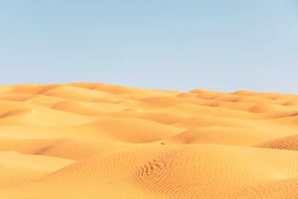 Goldenes Dünenfeld im Grand Erg Oriental Tunesien Dünen Tunesische Sahara Grand Erg Oriental